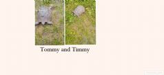 Spur Thighed : Both Female approx 60+ years old (Tommy  & Timmy)